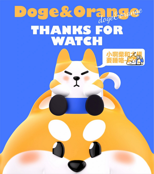 小啊柴与大橘 宠物品牌IP全案