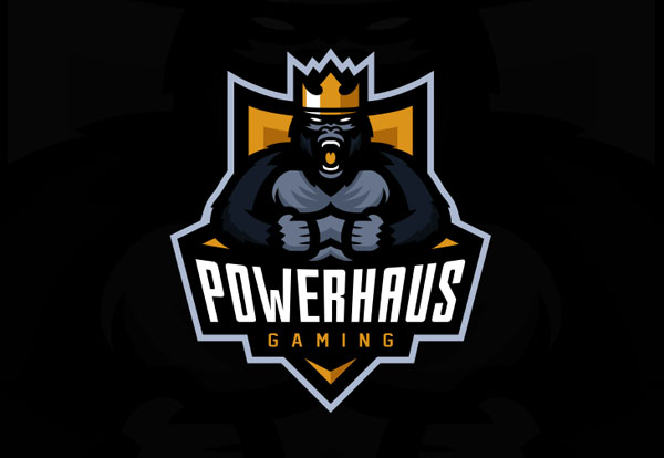 精美的电子竞技行业标志设计