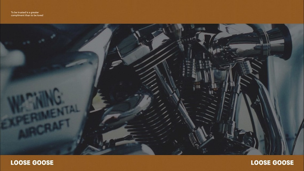 LOOSE GOOSE大鹅咖啡品牌