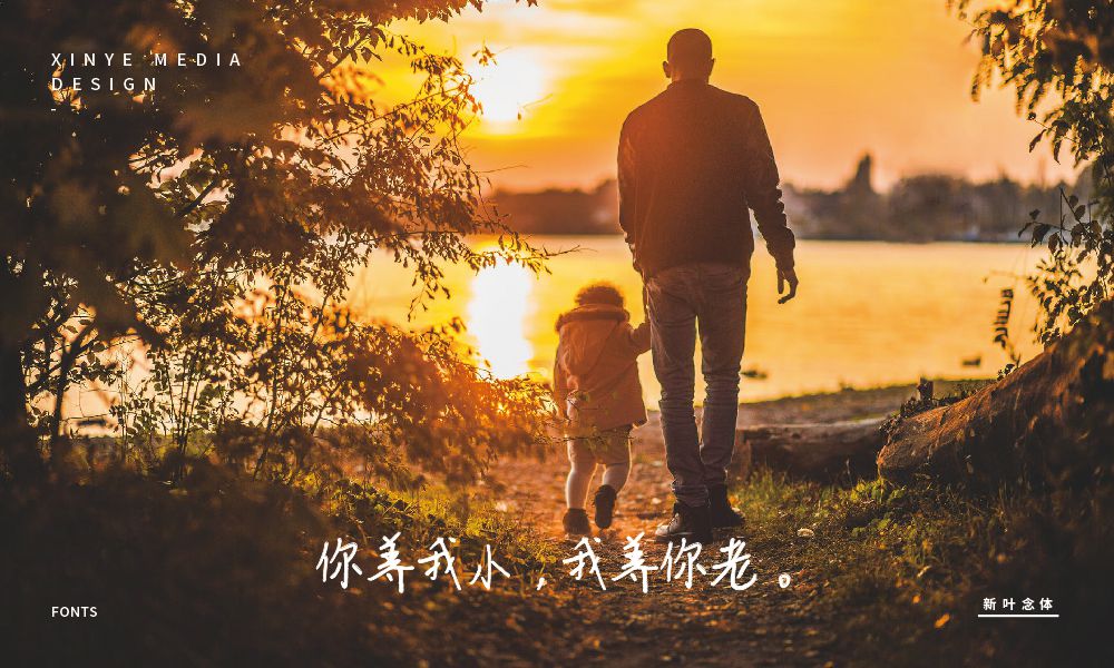 新叶念体