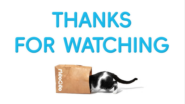 摩宠moogoo宠物店品牌设计