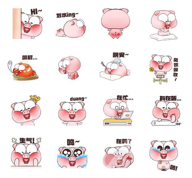 一只在广东出生的猪