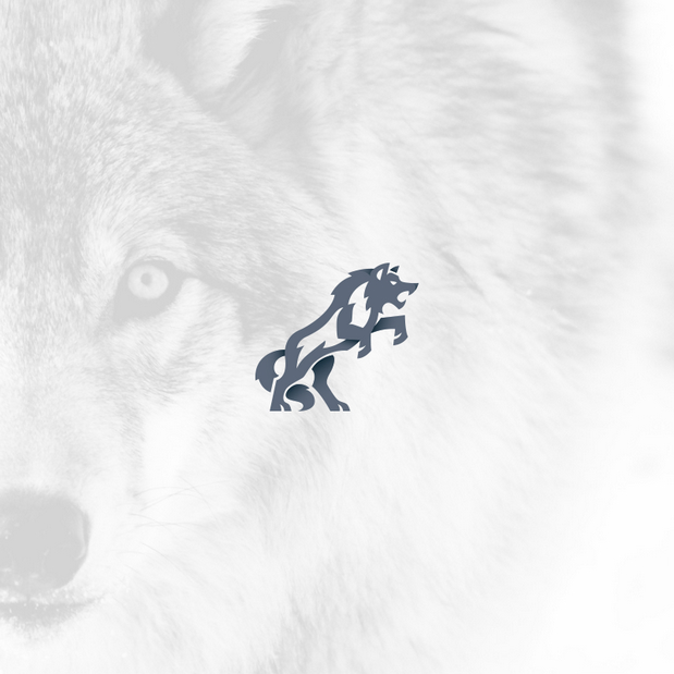 Charging Animals Reloaded