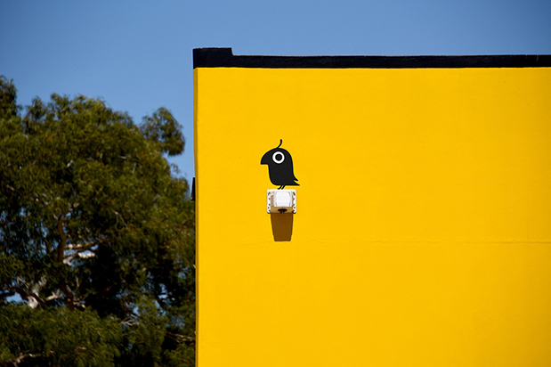 Petbarn—宠物专业零售商