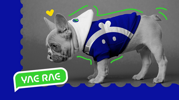 悦睿品牌形象打造1