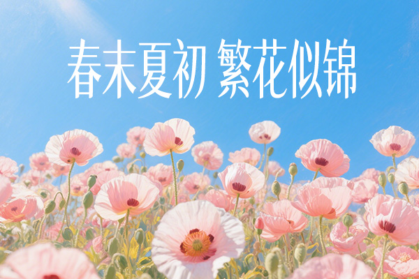 南西初夏宋