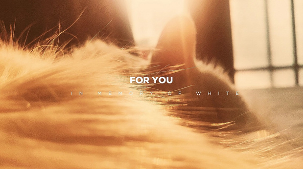 原创IP|RAGUS & WHITE