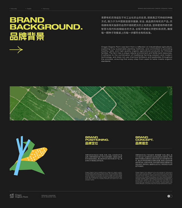 Cingye青野有机农场品牌设计