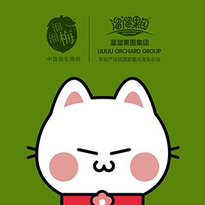 溜溜梅卡通吉祥物设计 /><img fetchpriority=