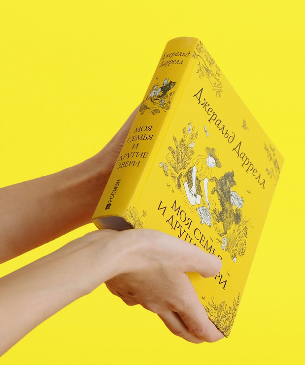 大象儿童图案出版社品牌VI