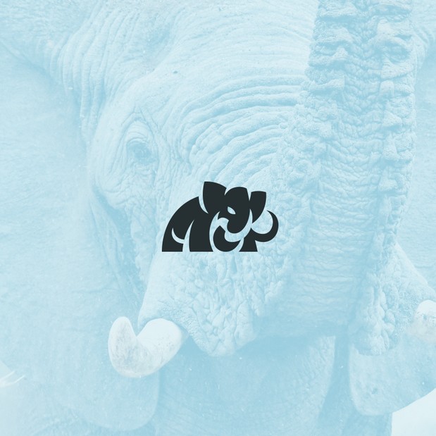 Charging Animals Reloaded