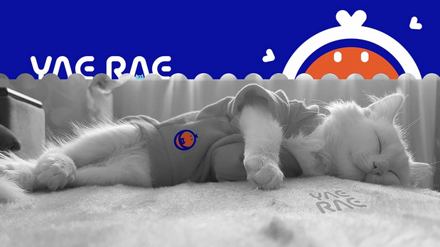 悦睿品牌形象打造1