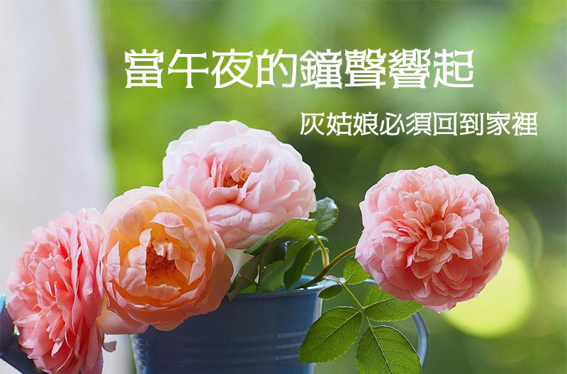 薔薇灰姑娘体
