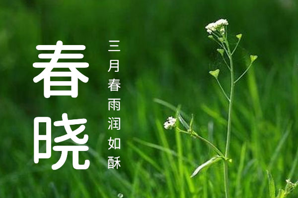 资源圆体