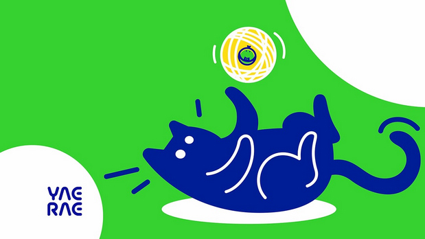 悦睿品牌形象打造1