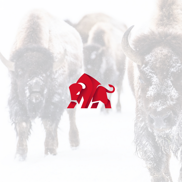 Charging Animals Reloaded