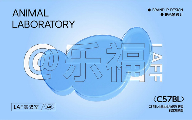 中央实验室IP全案打造