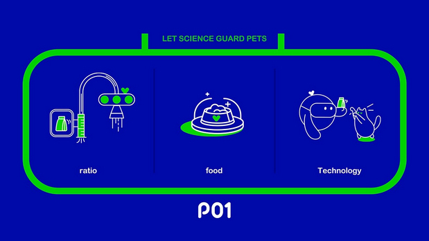 悦睿品牌形象打造1