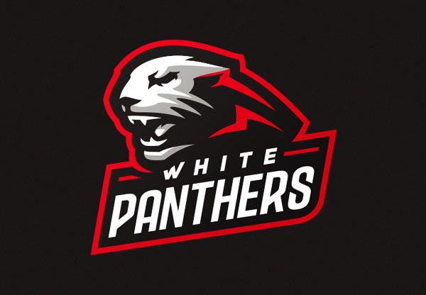 精美的电子竞技行业标志设计