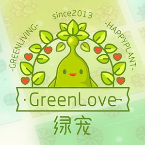 绿宠品牌视觉推广设计 /><img fetchpriority=