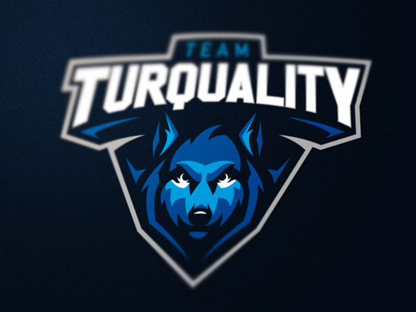 精美的电子竞技行业标志设计