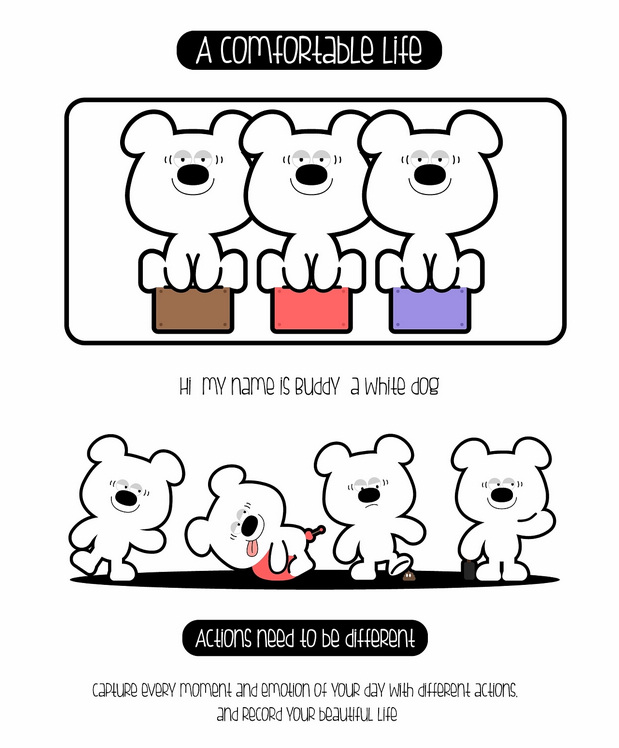 嗨我叫巴迪,一只普通的白色狗狗