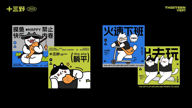 十三野 宠物零食品牌全案设计