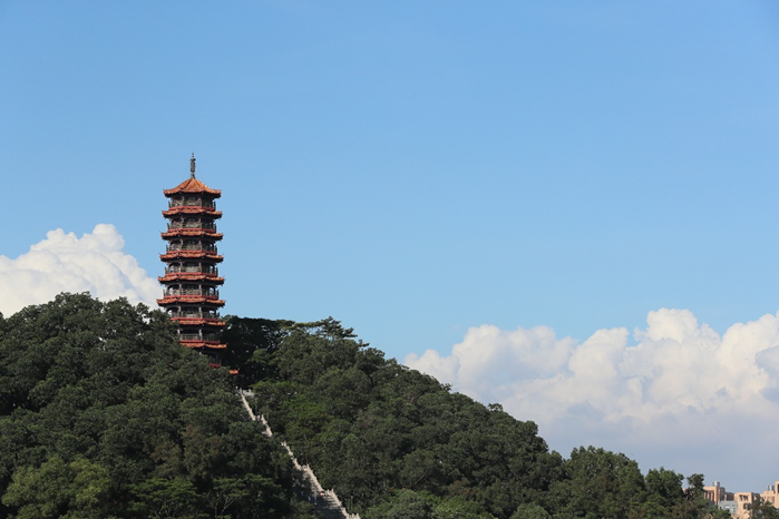 图片[1]-深圳红花山公园品牌IP及Slogan征集竞赛-设计比赛网-设计大赛/设计竞赛/设计比赛信息/赛事征集/比赛资讯